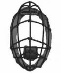 Thayer mask, 1876